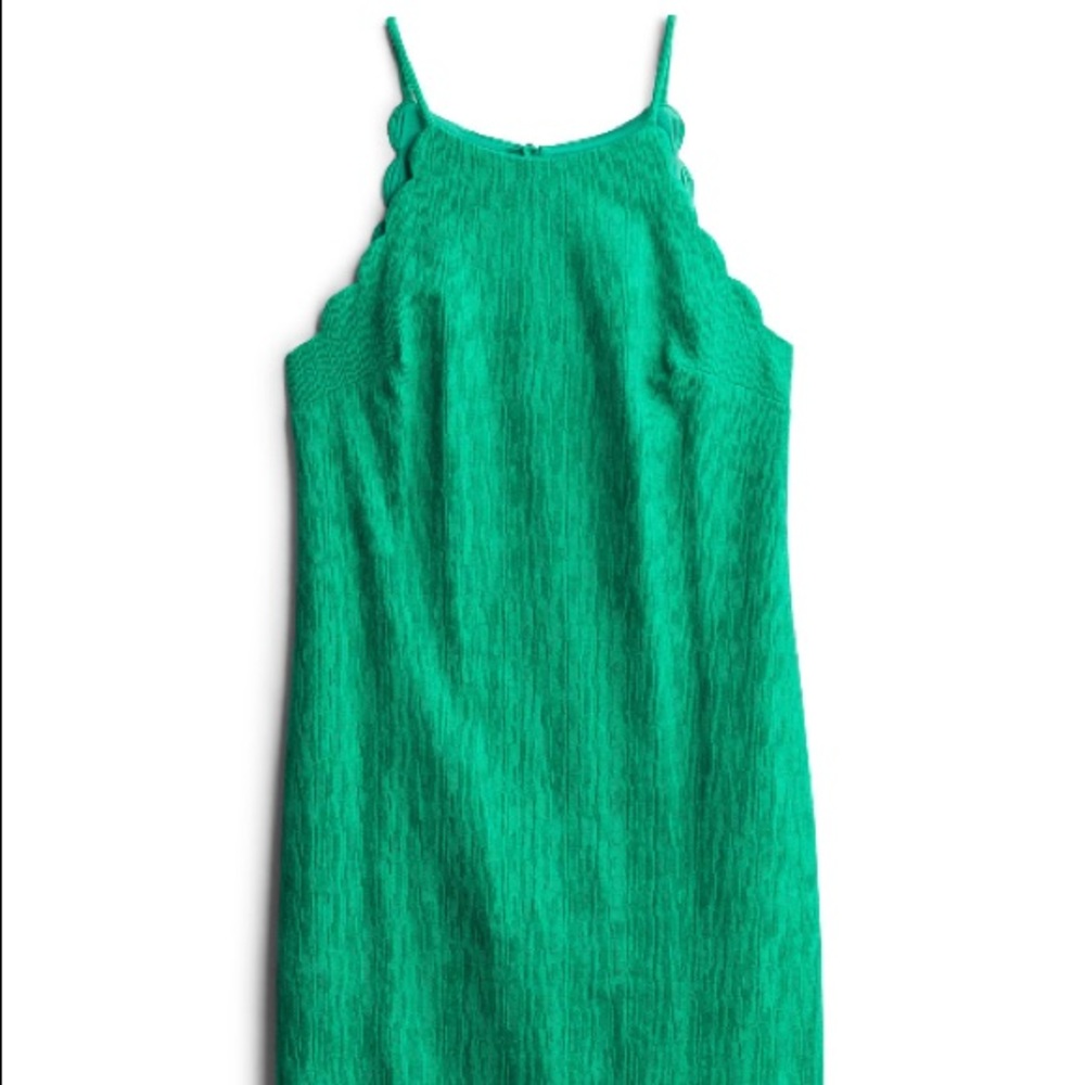 Scalloped detail knit dress